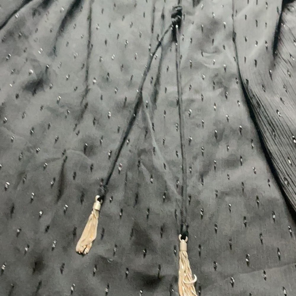 Zara Black Swiss Dot Off-the-Shoulder Blouse with Tassels - Picture 4 of 11
